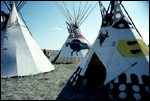 Tipi