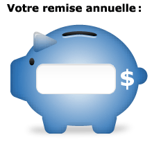 Votre remise annuelle: