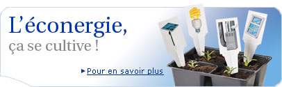 L��conergie, �a se cultive !